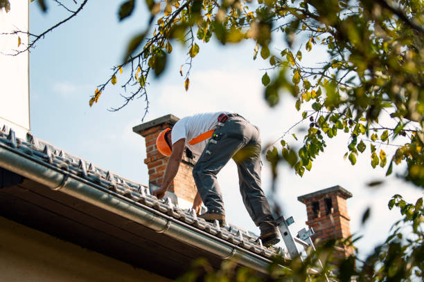 Best Roof Gutter Cleaning  in Canadian Lakes, MI
