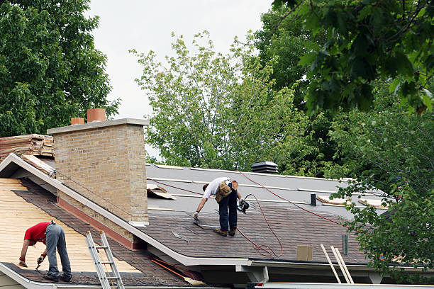 Best Shingle Roofing Installation  in Canadian Lakes, MI