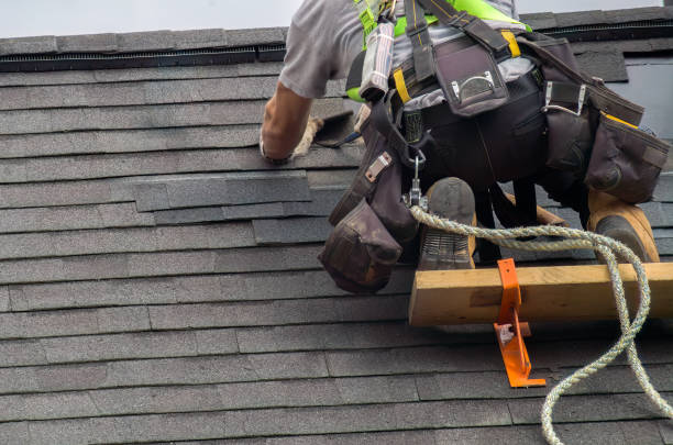 Best Residential Roofing Contractor  in Canadian Lakes, MI