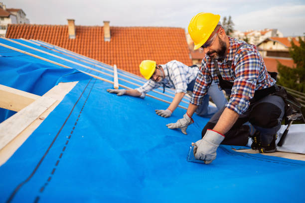 Best Roof Replacement Cost  in Canadian Lakes, MI