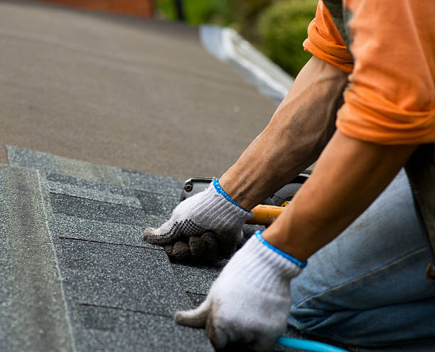Best Roof Repair Services  in Canadian Lakes, MI